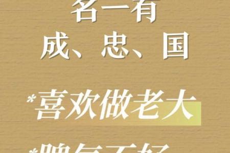 属龙辛时出生的男孩怎样起名，宜用什么字姓名