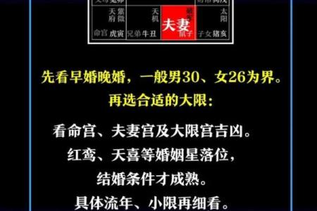 紫微斗数看老公：好男人类型，大男人类型，火爆浪子类型，不负责任类型，桃花多多类型