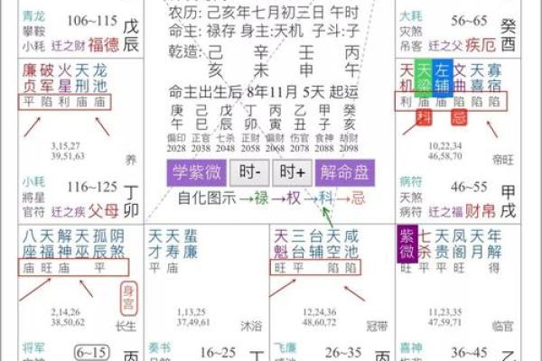 微信紫薇斗数