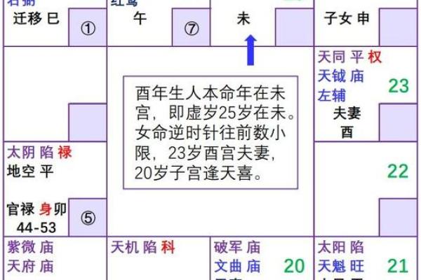 紫微斗数诸星落诸宫之:巨门星子女宫详解 紫微斗数诸星落诸宫之:巨门星子女宫详解