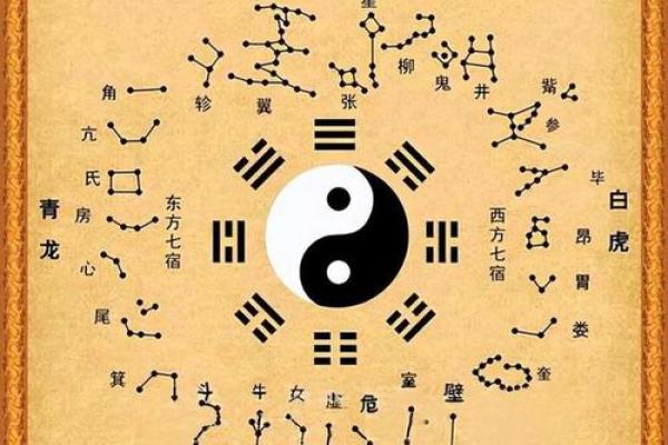 紫薇斗数阳宫