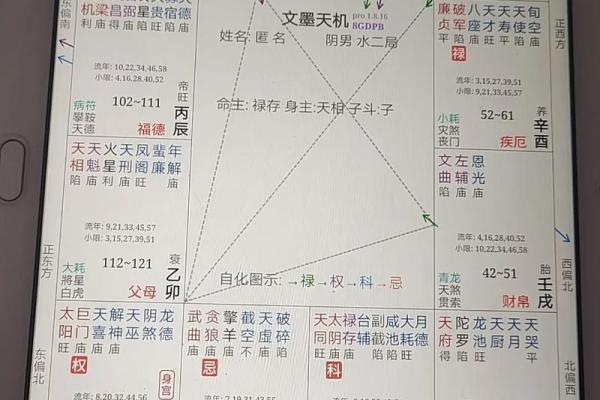 紫薇斗数abcd都代表啥