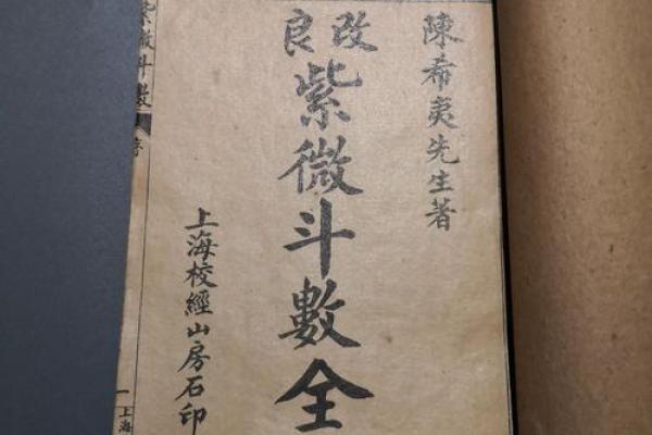 阿里紫薇斗数