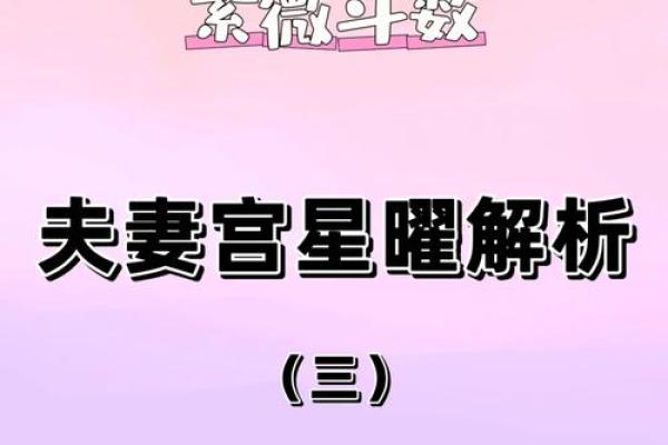 夫妻宫没有紫薇斗数