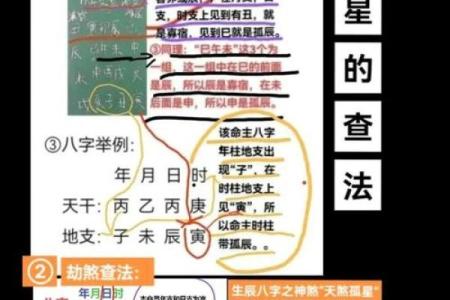 做命理的八字,什么样的命格适合做命理师