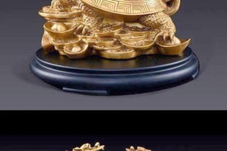 风水龙龟有什么作用的摆放方法及禁忌