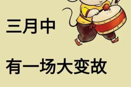 鼠年算命先生准吗