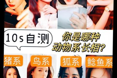 测测你是什么系 长相风格测试