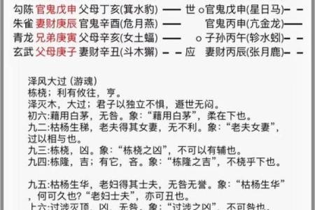 抽签算命占卜每日一占,六爻龟壳每日一卦