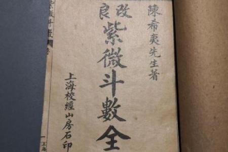 阿里紫薇斗数