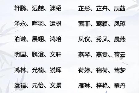 2019年4月19号子时出生的男孩要怎么起名字姓名