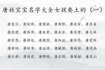 唐姓男孩名字大全-唐姓男孩起名字大全-唐姓名字大全姓名