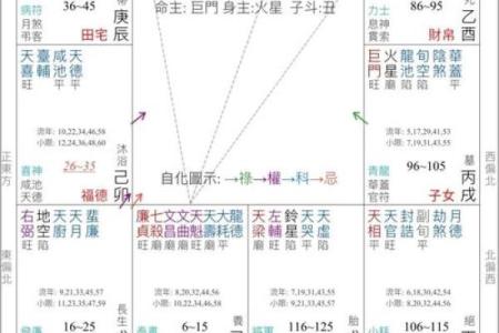 夫妻宫没有紫薇斗数