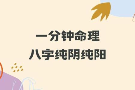 纯阳纯阴八字