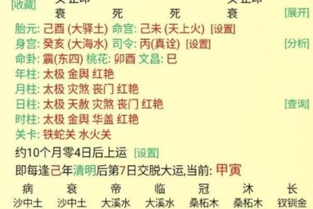 怎么看八字喜忌用神