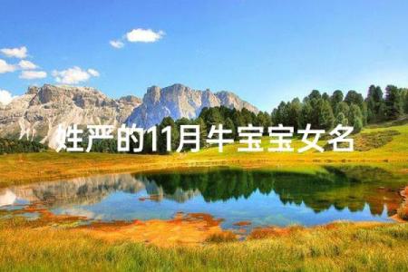 严姓男孩名字大全-严姓男孩起名字大全-严姓名字大全姓名