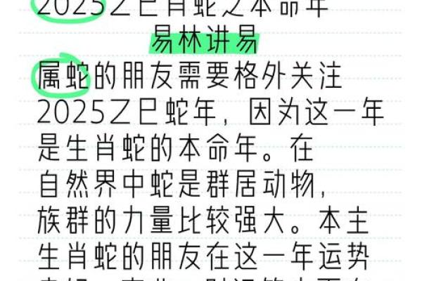 办公室属蛇风水应该如何布局 生肖蛇人赶紧看过来