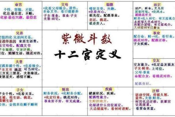 紫微斗数弱智 紫微斗数看智力？