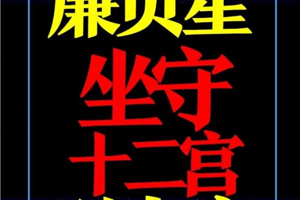 紫薇斗数看自己财