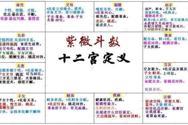紫薇斗数与癌症