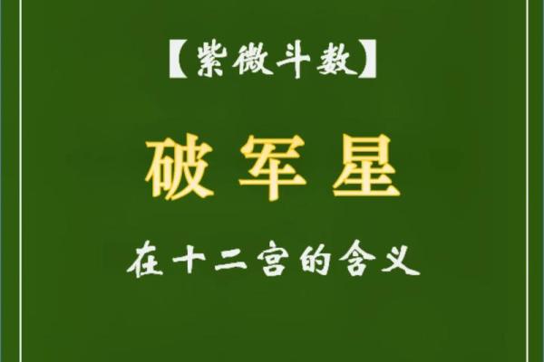 紫薇斗数破禄