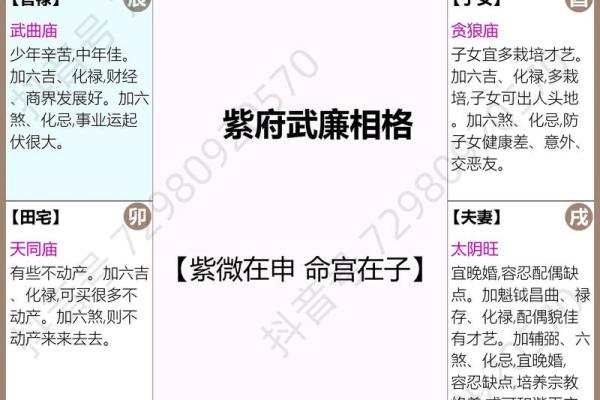 紫微斗数之疾厄宫四化飞星,是什么意思? 紫微斗数之疾厄宫四化飞星,是什么意思?