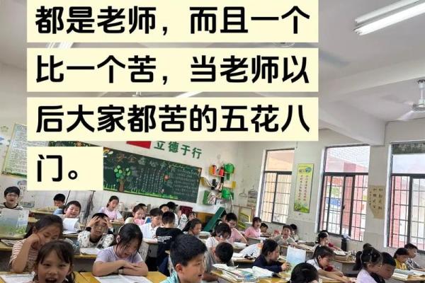 当老师的八字