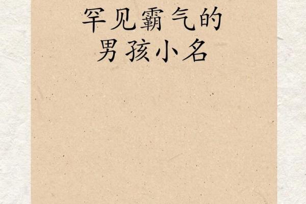 2019年4月18号寅时出生的男孩应该起什么样的名字姓名