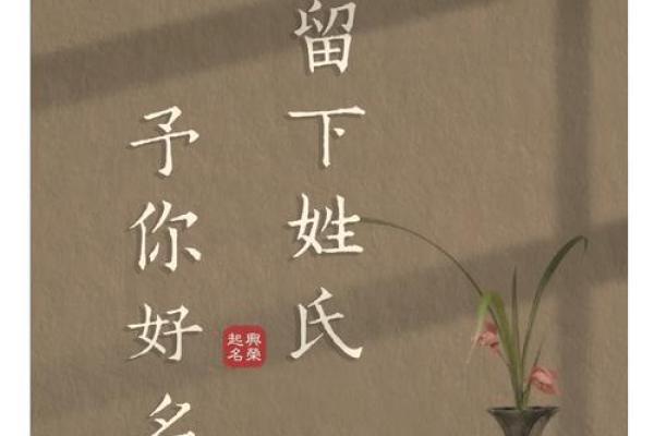 沈姓男孩名字大全-沈姓男孩起名字大全-沈姓名字大全姓名