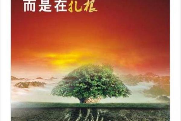 算命扎根是什么