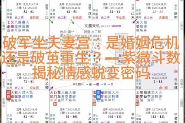 如何紫薇斗数看配偶