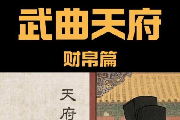 紫薇斗数之天府