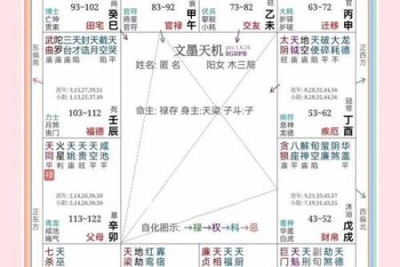 紫薇斗数财帛红鸾