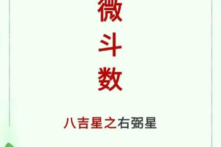 紫薇斗数中国网