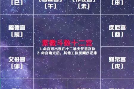 免费紫薇命运斗数