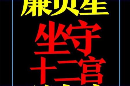 紫薇斗数看自己财