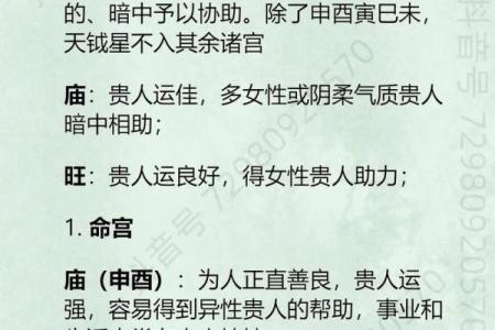 紫微斗数之夫妻宫与诸星，天府星在夫妻宫是什么意思？