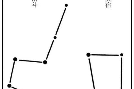 紫薇斗数长寿星