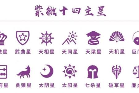预言紫薇星