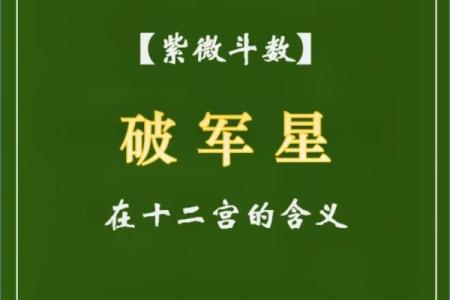 紫薇斗数破禄
