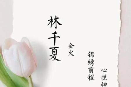 林姓女孩名字大全-林姓女孩起名字大全-林姓名字大全姓名