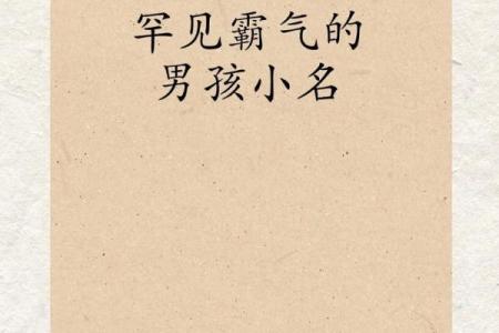 2019年4月18号寅时出生的男孩应该起什么样的名字姓名