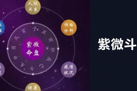 晚婚的紫薇斗数
