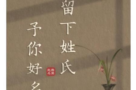 沈姓男孩名字大全-沈姓男孩起名字大全-沈姓名字大全姓名