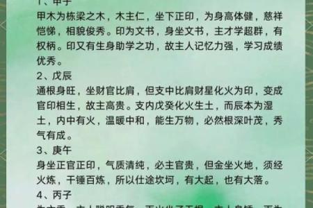 算命扎根是什么