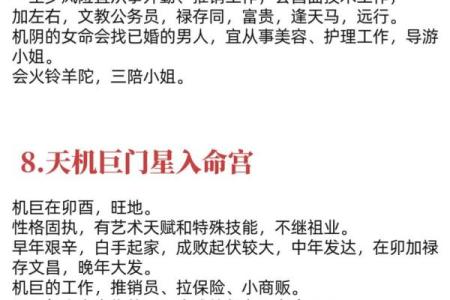 紫微斗数术语解释之：体和用