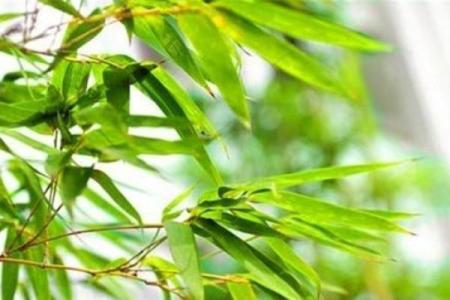 选楼风水遵循自然秩序为家庭创造福气
