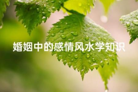 婚姻：如何利用风水增夫妻感情