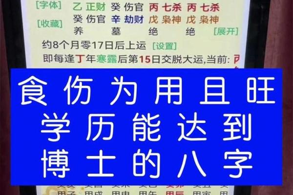 八字博士
