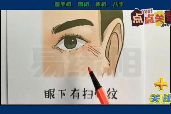 眼皮的面相解析 通过眼皮看面相算命